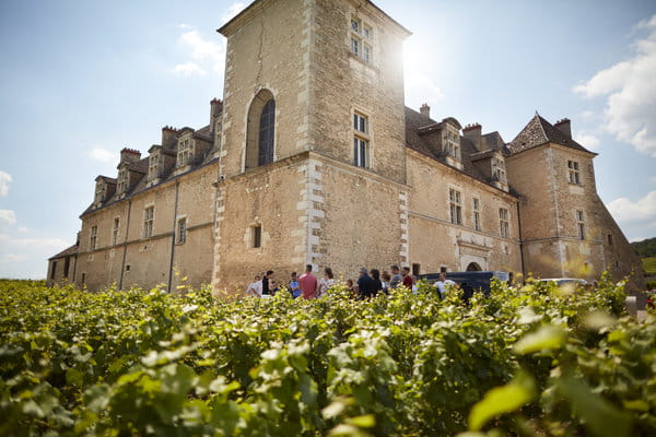 A call for donations in aid of the Château du Clos de Vougeot
